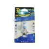Rchang Λάμπα Αυτοκινήτου H7 12V 55W - Halogen Lamp