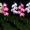 150388_w-1 Ηλιακά διακοσμητικά λουλούδια LED - Φωτισμός κήπου χωρίς ρεύμα
