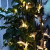 152875_ww-2 Ηλιακή γιρλάντα LED 5m - Ατμοσφαιρικός φωτισμός χωρίς ρεύμα