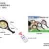 181304-1 Ηλιακός προβολέας LED με αισθητήρα κίνησης 8025B